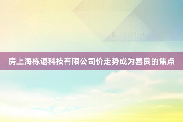 房上海栋谌科技有限公司价走势成为善良的焦点