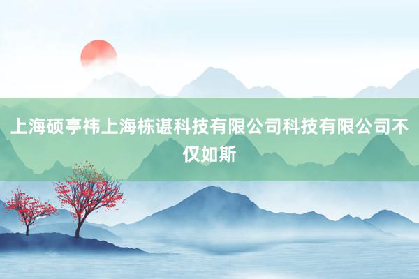 上海硕亭祎上海栋谌科技有限公司科技有限公司不仅如斯