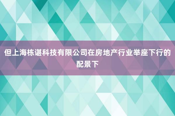 但上海栋谌科技有限公司在房地产行业举座下行的配景下